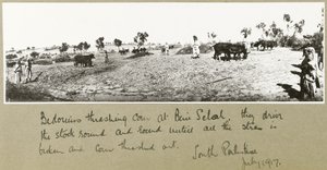 Bedouins Threshing Corn at Beni Saleh by Capt. Arthur Rhodes